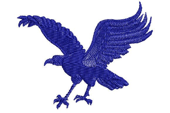 Falcon Spreading Its Wings Review for Gift Creators