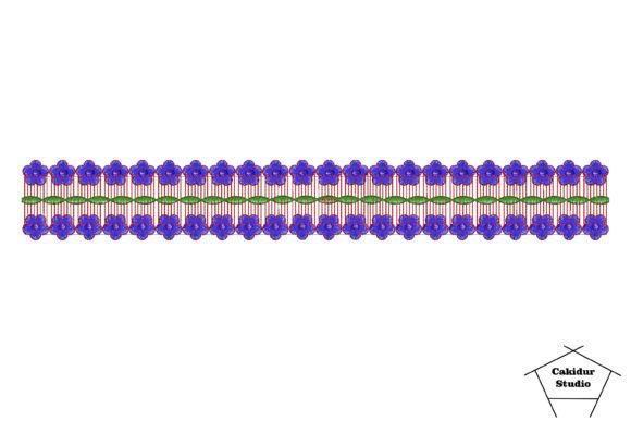Stack Flowers Border: A Designer's Holiday Review